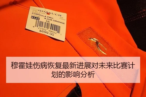 mu-huo-wa-shang-bing-hui-fu-zui-xin-jin-zhan-dui-wei-lai-bi-sai-ji-hua-de-ying-xiang-fen-xi-2-176.jpg